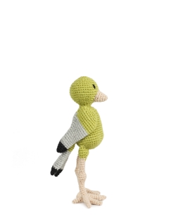 Augustine the Greenfinch