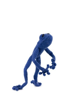 Juan the Tree Frog 