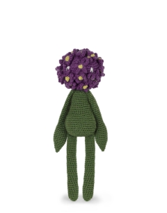 Allium