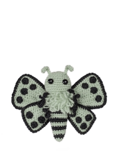 Cordelia the Pierrot Butterfly