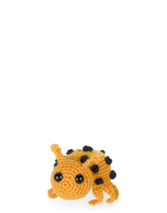 Deirdre the Bean Beetle