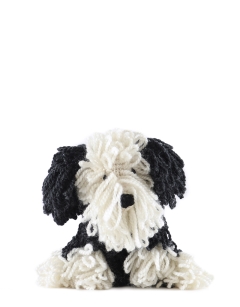 Josephine the Bearded Collie