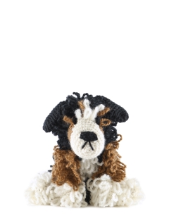 Chester the Bernese Mountain Dog