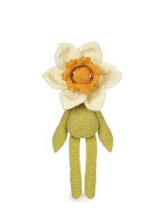Bicolour Daffodil