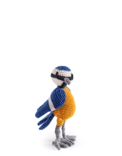 Desmond the Blue Tit