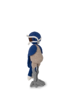 Fenton the Whiskered Treeswift