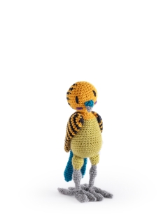 Terence the Budgerigar