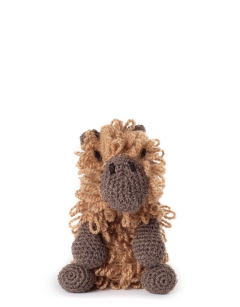 Quincy the Capybara