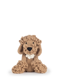 Pepper the Cavapoo