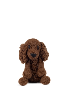 Chad the American Water Spaniel