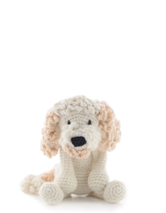 Amanda the Cockapoo