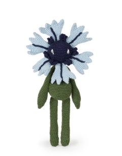 Cornflower