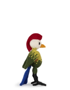 Bert the Red Crested Turaco