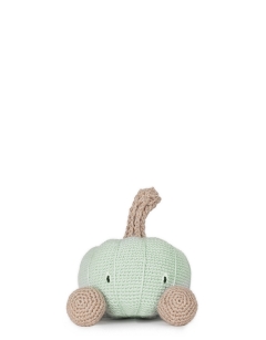 Crown Prince Pumpkin