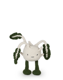 Kohlrabi
