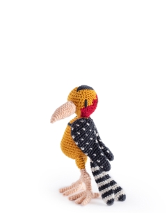 Levi the Red And Yellow Barbet