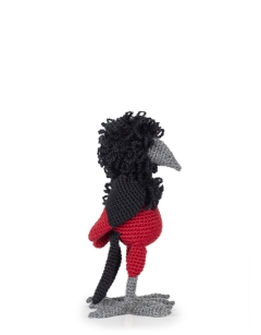 Vlad the Pesquet's Parrot