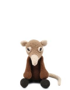 Mason the Elephant Shrew