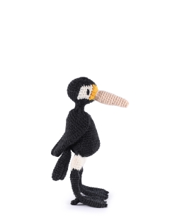 Lois the Cormorant