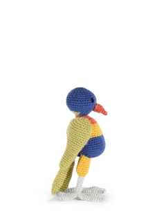 Zara the Lorikeet