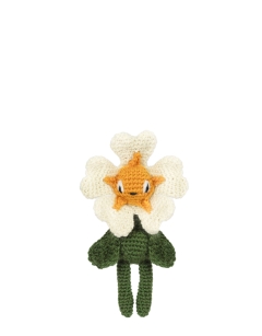 Mini Primrose