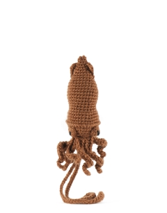 Mini Darwin the Squid