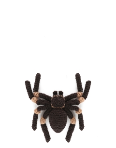 Mini Tara the Tarantula