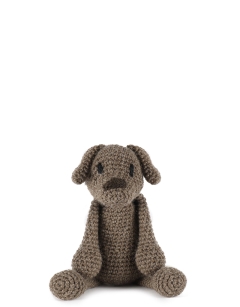 Denzel the Patterdale Terrier