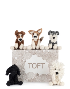 Puppy Discovery Box