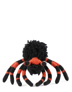 Tara the Tarantula 