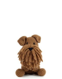 Connor the Irish Terrier