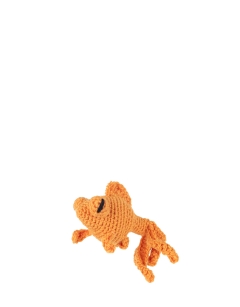 Orange Moor Fish
