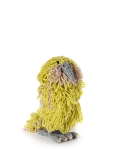 Koa the Kakapo