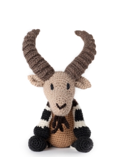 Amit the Nubian Ibex