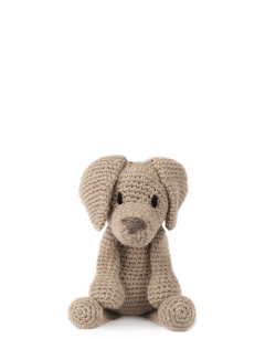 Maximilian the Weimaraner