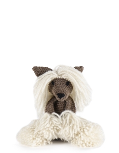 Laura the Chinese Crested