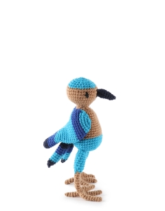 Azula the Indian Roller Bird