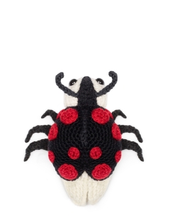Ava the Ladybird: Black Harlequin