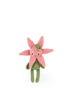Mini Lily