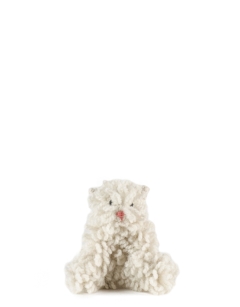 Mini Nousha the Persian Cat