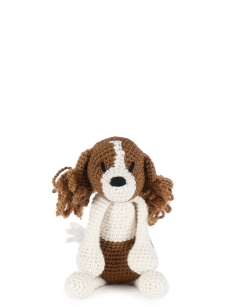 Philip the Cavalier King Charles Spaniel