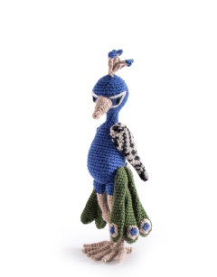 Rohit the Peacock