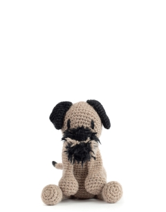 Rooney the Border Terrier
