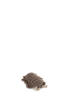 Small Algernon the Woodlouse