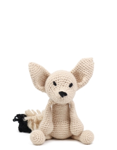 Stephanie the Fennec Fox