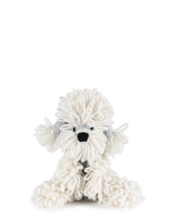 Wendy the Dandie Dinmont Terrier 