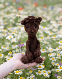 Seamus the Alpaca