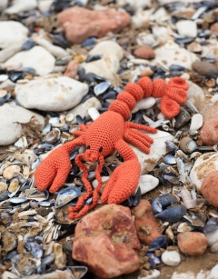 Joanna the Lobster Kit