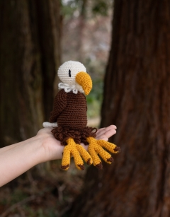 Abraham the Bald Eagle Kit