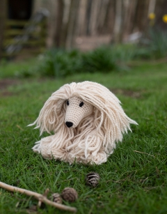 Amy the Afghan Hound